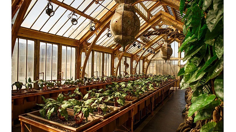 Harry Potter - Visite du Studio Warner Bros depuis London Victoria