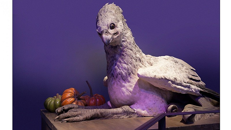 Harry Potter - Visite du Studio Warner Bros depuis London Victoria