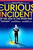 The Curious Incident of the Dog in the Night-Time