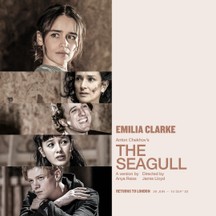 The Seagull